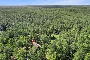 5485 County Rd 3400, Colmesneil, TX 75938 - Photo 35