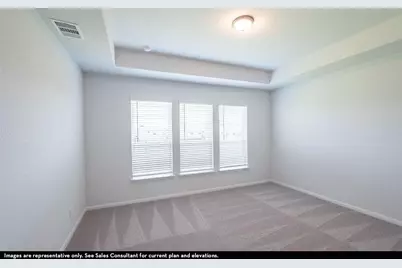 31015 Peck Pass Drive, Waller, TX 77484 - Photo 9