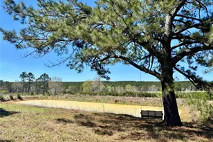 Tbd County Road 3550, Woodville, TX 75979 - Photo 1