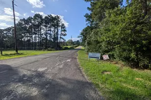 3948 Dogwood Trail, Navasota, TX 77868 - Photo 5