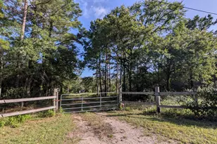 3948 Dogwood Trail, Navasota, TX 77868 - Photo 3