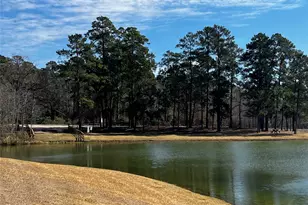 2340 La Salle Woods, Conroe, TX 77304 - Photo 33