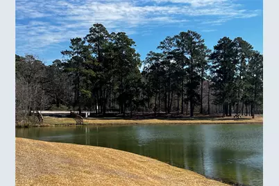 2340 La Salle Woods, Conroe, TX 77304 - Photo 35