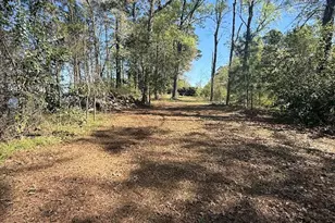 4001 Carters Ferry Rd E, Milam, TX 75959 - Photo 21