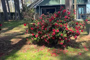 4001 Carters Ferry Rd E, Milam, TX 75959 - Photo 5