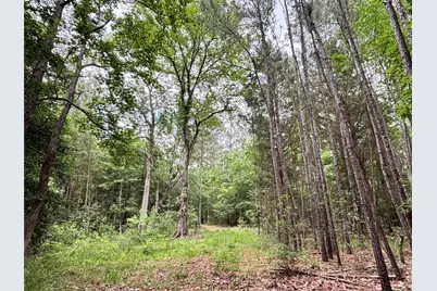 000 Peyton Lane, Hillister, TX 77624 - Photo 27