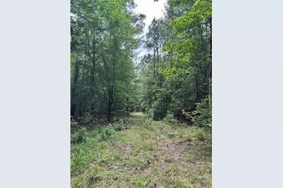 000 Peyton Lane, Hillister, TX 77624 - Photo 23