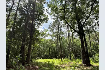000 Peyton Lane, Hillister, TX 77624 - Photo 49