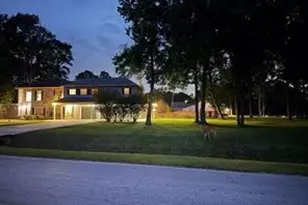 29015 Commons Oaks Dr, Huffman, TX 77336 - Photo 3