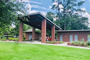 29021 Cherrywood Ln, Shenandoah, TX 77381 - Photo 25