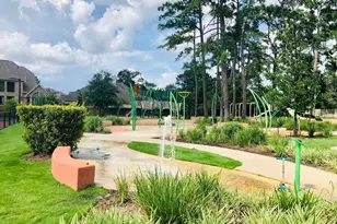 29021 Cherrywood Ln, Shenandoah, TX 77381 - Photo 27