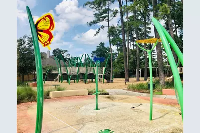 29021 Cherrywood Lane, Shenandoah, TX 77381 - Photo 29