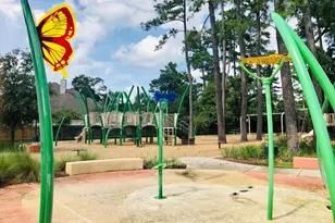 29021 Cherrywood Ln, Shenandoah, TX 77381 - Photo 29