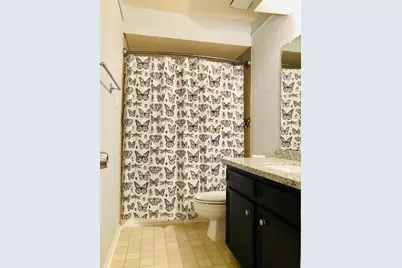 29021 Cherrywood Lane, Shenandoah, TX 77381 - Photo 13