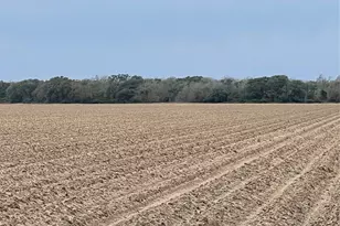 0 Cr 385, El Campo, TX 77437 - Photo 5