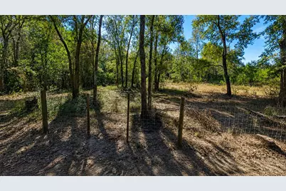 Lot 7 Dryden Street, Trinity, TX 75862 - Photo 5