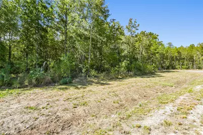 1723 Road 66118, Dayton, TX 77535 - Photo 5