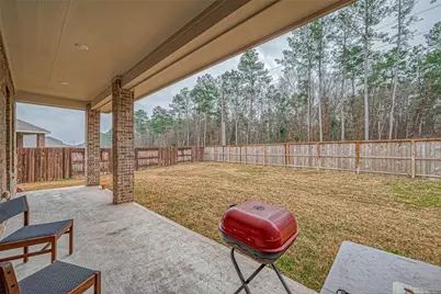 23722 Canolo Grove Lane, New Caney, TX 77357 - Photo 39