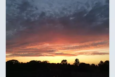 307 Brocks Lane, Montgomery, TX 77356 - Photo 25