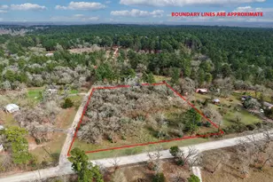 Tbd Cr 151, Bedias, TX 77831 - Photo 1