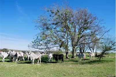 Tbd State Hwy 95 N, Moulton, TX 77975 - Photo 21