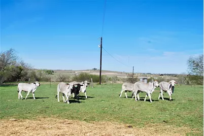 Tbd State Hwy 95 N, Moulton, TX 77975 - Photo 15