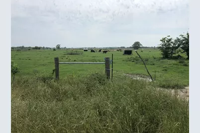0 Daily Road, Rosenberg, TX 77471 - Photo 5