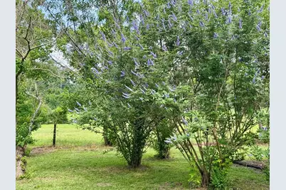 969 County Road 1050, Woodville, TX 75979 - Photo 25