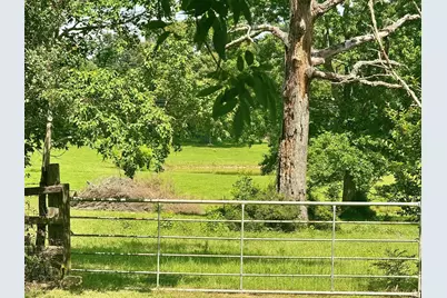 969 County Road 1050, Woodville, TX 75979 - Photo 23