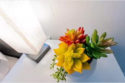 3910 Luca St Street, Houston, TX 77021 - Photo 25