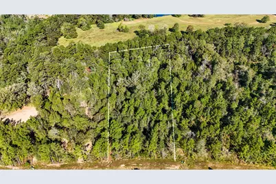 15821 Ridge Rock Road, Willis, TX 77378 - Photo 13