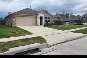29219 Enchanted Fls Cir, Spring, TX 77386 - Photo 3