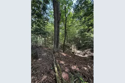 220 Lakeshore Point, Livingston, TX 77351 - Photo 9