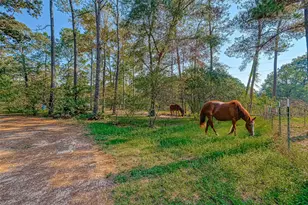 648 Oak Rdg St, Cleveland, TX 77328 - Photo 3