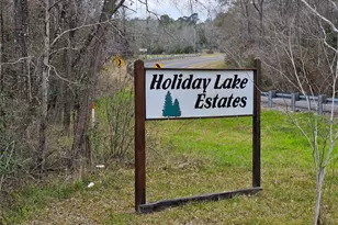 271 Oakwood Ln, Goodrich, TX 77335 - Photo 3