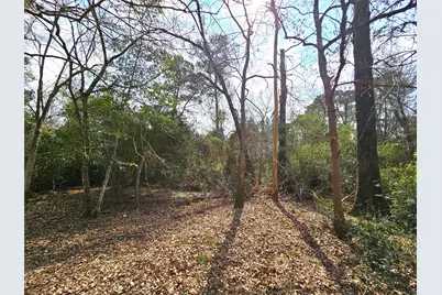 271 Oakwood Lane, Goodrich, TX 77335 - Photo 33