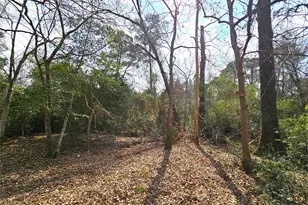 271 Oakwood Ln, Goodrich, TX 77335 - Photo 33