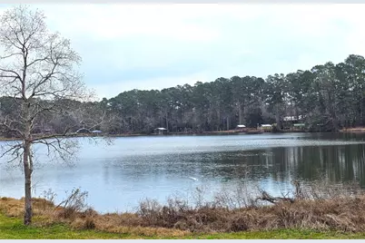 271 Oakwood Lane, Goodrich, TX 77335 - Photo 5