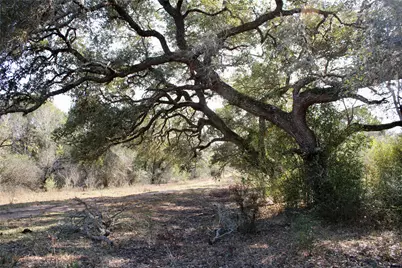 3514 Highway 90, Glidden, TX 78943 - Photo 15