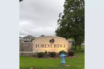 3131 Peachstone Place, Spring, TX 77389 - Photo 21