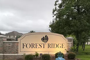 3131 Peachstone Pl, Spring, TX 77389 - Photo 21
