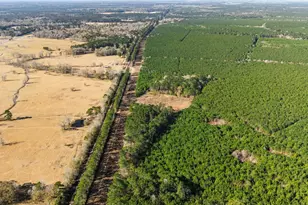 1495 County Rd 2200, Cleveland, TX 77327 - Photo 3