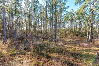 898 Taylor Lake Road, Livingston, TX 77351 - Photo 17