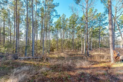 898 Taylor Lake Road, Livingston, TX 77351 - Photo 15