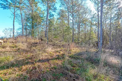 898 Taylor Lake Road, Livingston, TX 77351 - Photo 13