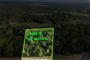 175 Remington Ct, Coldspring, TX 77331 - Photo 1