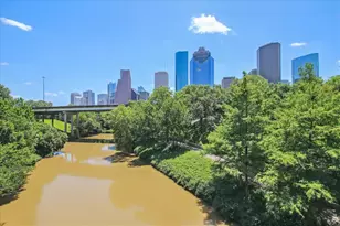 4214 Dickson St, Houston, TX 77007 - Photo 29