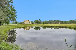 2955 Hogg Ext, Kennard, TX 75847 - Photo 41