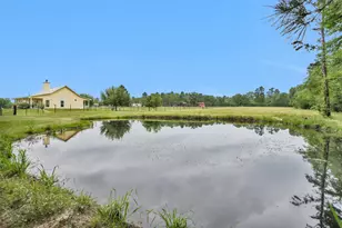 2955 Hogg Ext, Kennard, TX 75847 - Photo 5