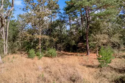 3192 State Highway 19, Huntsville, TX 77320 - Photo 21